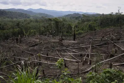 Cuts to USAID severed longstanding American support for Indigenous people around the world