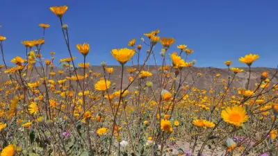 San Diego County’s state parks among best in California, poll says