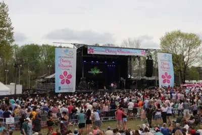 Brookhaven’s 2025 Cherry Blossom Festival draws record crowd