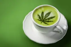 THC-Infused Iced Matcha Lattes: A Modern Twist on a Classic Beverage