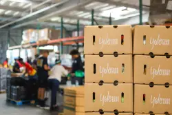California budget would slash funding for state food banks