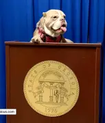 State of DeKalb Animals meeting highlights evictions’ impact on pets