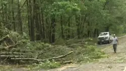 Wild weather leaving damage across Massachusetts
