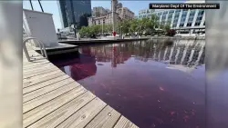 Crews clean up 2,000-gallon fuel spill in Baltimore’s harbor